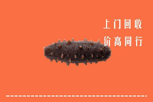 高价求购：平山区回收海参